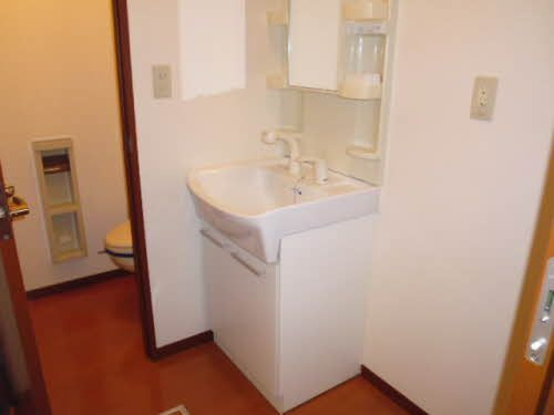 シャーメゾン桜屋敷の洗面所