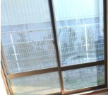シティハイムの庭