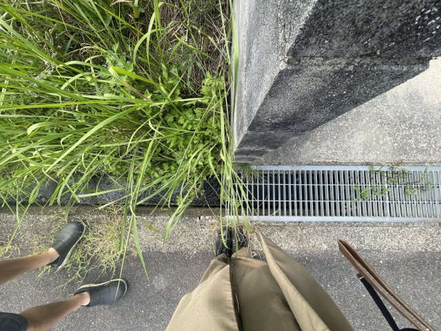 甲賀市水口町山中古戸建のその他|境界