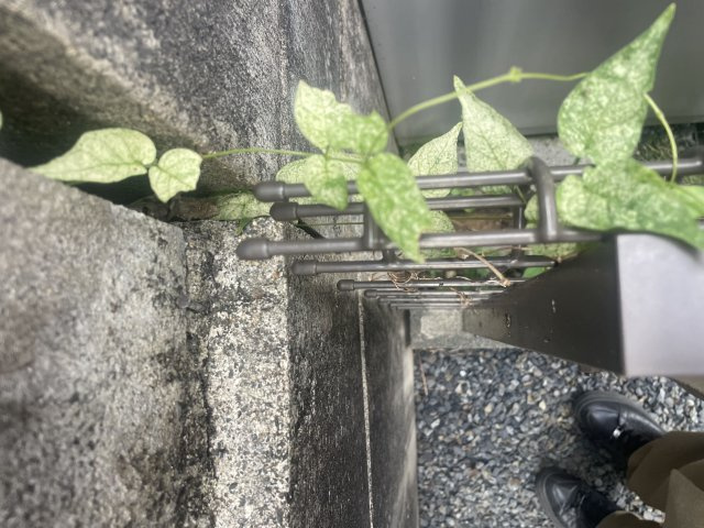 甲賀市水口町山中古戸建のその他|境界