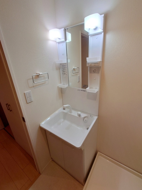 グランデュール SKTの洗面所|204号室参考写真
