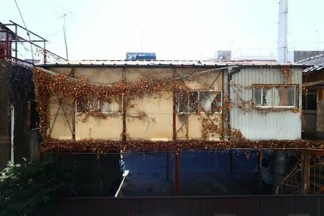サンセール神楽坂の展望