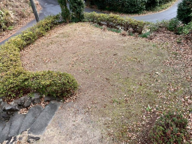 伊東市　八幡野の庭