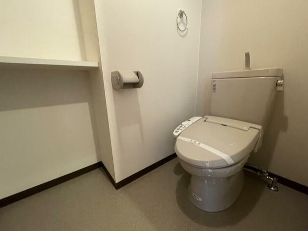 熊本市南区近見１丁目の賃貸マンションのトイレ