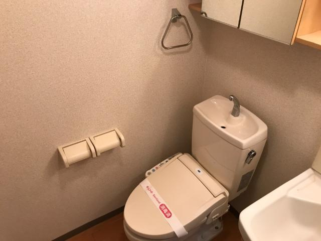 パピエのトイレ