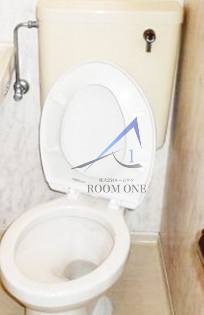 プラザ川崎ＮＯ．２のトイレ|トイレです。