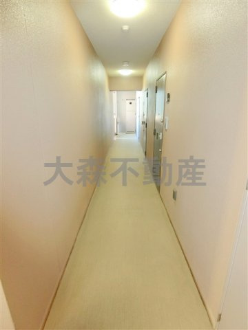 日神デュオステージ大森のその他共用部分|共用廊下