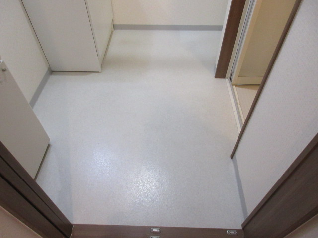 カーサ開広の洗面所