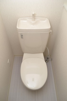 【トイレ】 | プレサンス心斎橋ルティア | 落ち着いた色調のトイレです