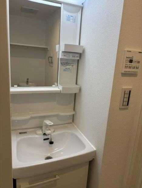 八潮市大字大瀬のアパートの洗面所
