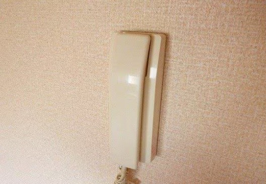 パールハイツ新河岸のセキュリティ