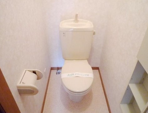 オリエンタル　コスモのトイレ