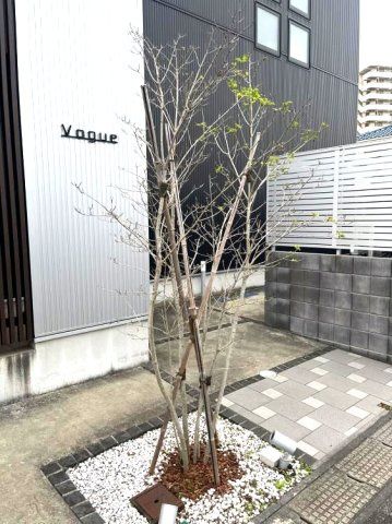 Ｖｏｇｕｅのその他共用部分