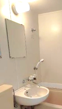 ローズアパートQ48番館A棟の洗面所
