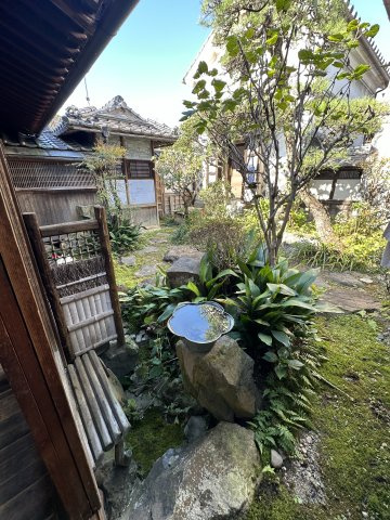 津山市材木町　古民家＋離れ　９Kの庭