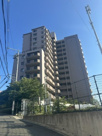 パインフィールド緑地公園の画像