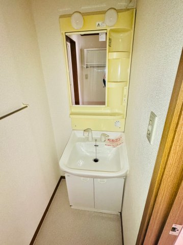 グリーンコート柿内の洗面所