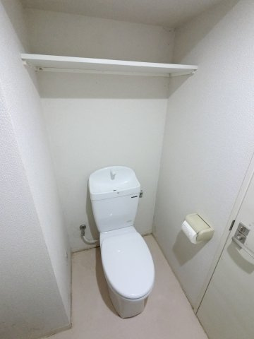ミリアビタNo30のトイレ