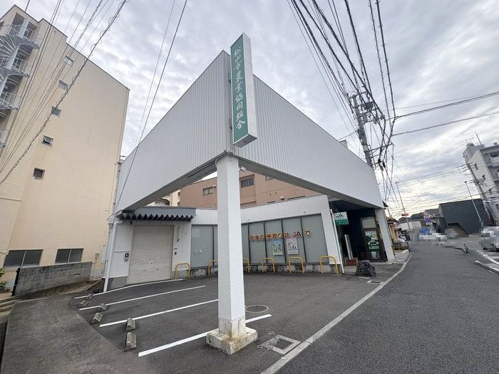 【周辺】サーパス衣山弐番館