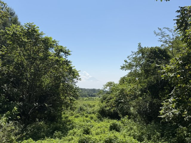 【北杜市長坂町白井沢】リビングの窓から富士山も望める大型ログハウスの展望|富士山