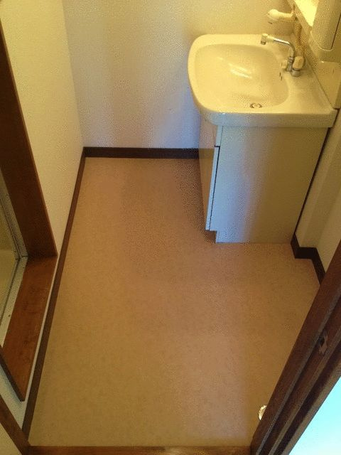 フラッツマキの洗面所