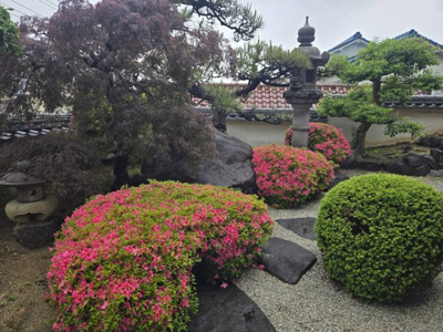【庭】 | 禁野本町2丁目（古民家住宅蔵部分） | 日本庭園