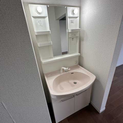 フジナカコーポⅪの洗面所