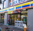 GENOVIA西大島green veilの周辺