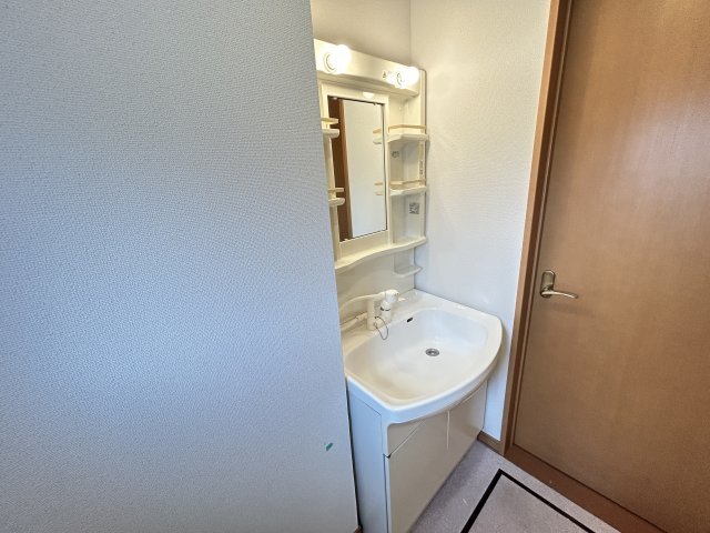 プラッサムコート大留の洗面所