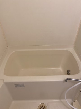 ロイヤル谷津のその他共用部分|※別部屋参考写真です