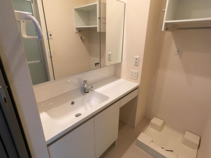 D-room高羽の洗面所