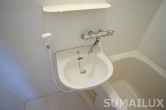 熊本市中央区大江１丁目の賃貸マンションの独立洗面台