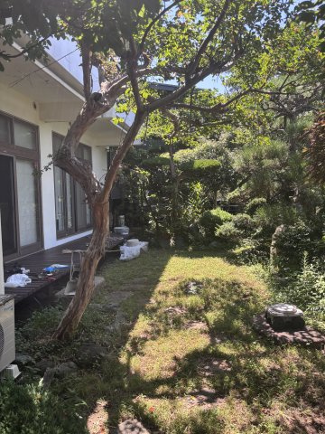 鎌倉３丁目戸建の庭