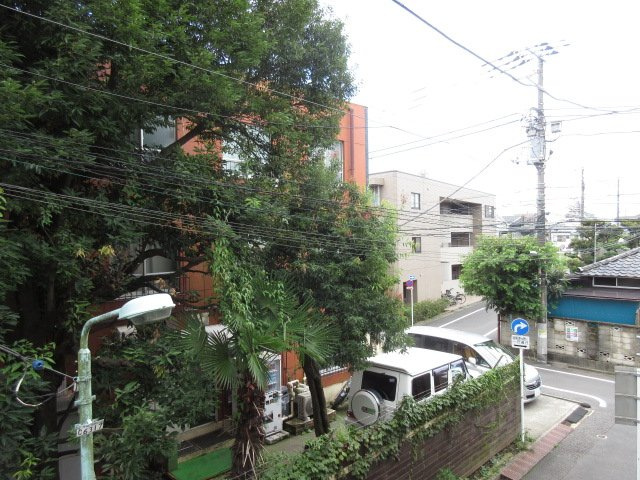 CLEMATIS 1の展望