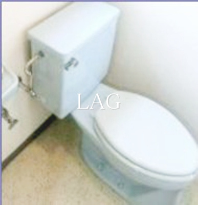 【トイレ】 | Ａ‐フラット | トイレです。