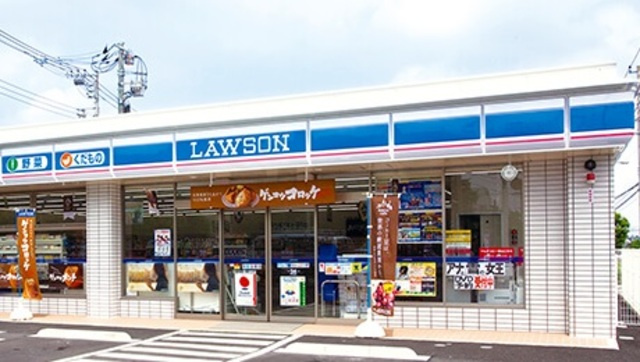 ドリームハイツのその他|ローソン緑三保町店
