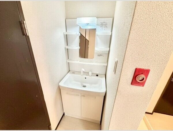 日新ハウスの洗面所