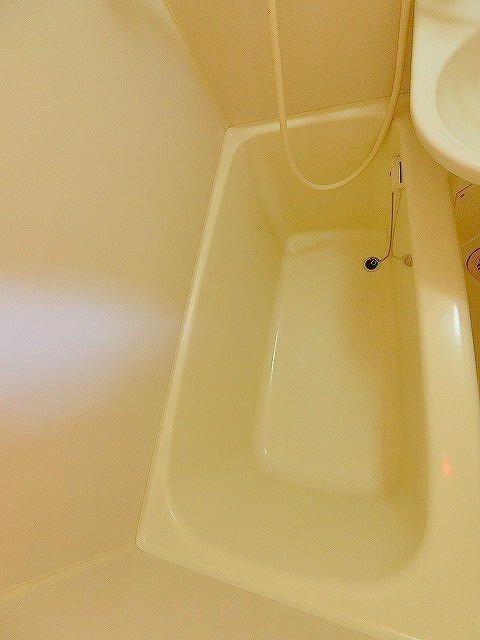 リック大森町の浴室