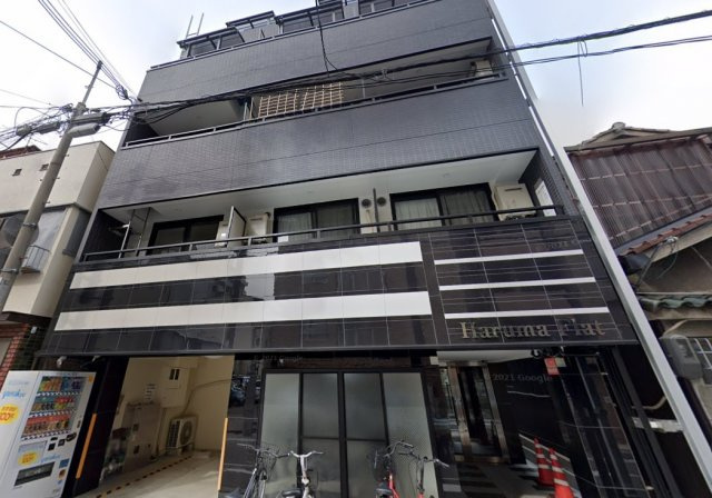 Haruma  Flat