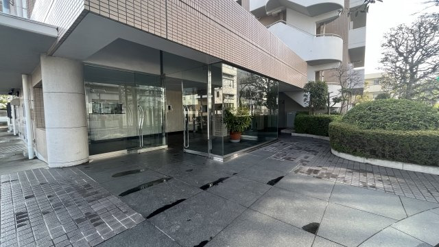 ダイヤモンドメゾン平井のエントランス