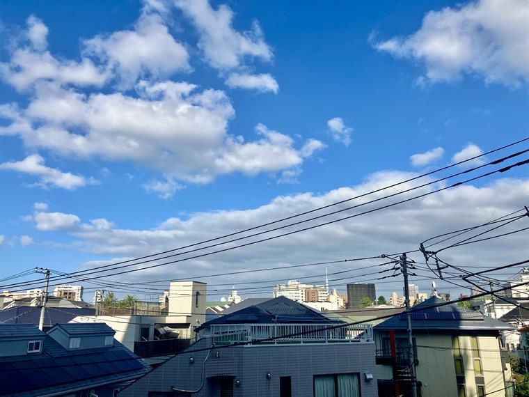 ヴィラロイヤル文京西片の展望