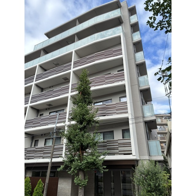 レスピール蓮根の外観