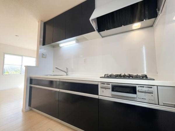 川崎市宮前区西野川３丁目の中古一戸建のキッチン|使い勝手にこだわったシステムキッチンは、毎日の家事の負担を軽減してくれます。