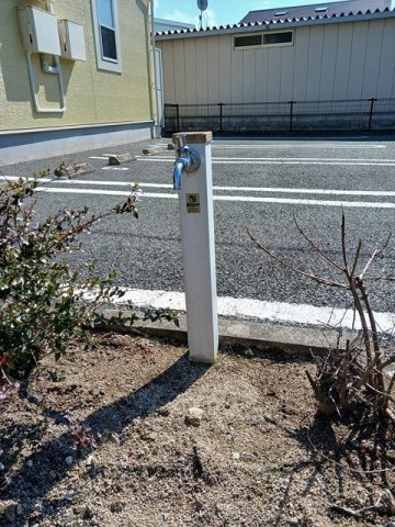 ハナミズキＢのその他