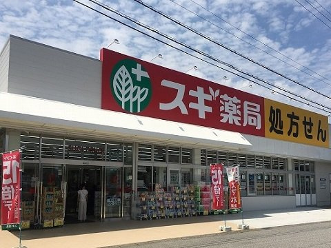 ハートフルスクエアの周辺|スギドラッグ小杉店まで30m