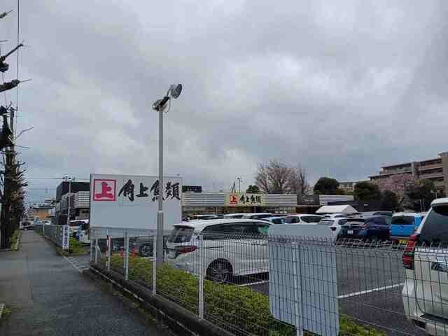 ニューインサイドの周辺|角上魚類まで260m