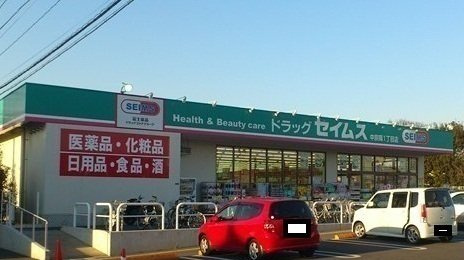 ハナミズキの周辺|セイムスまで500m
