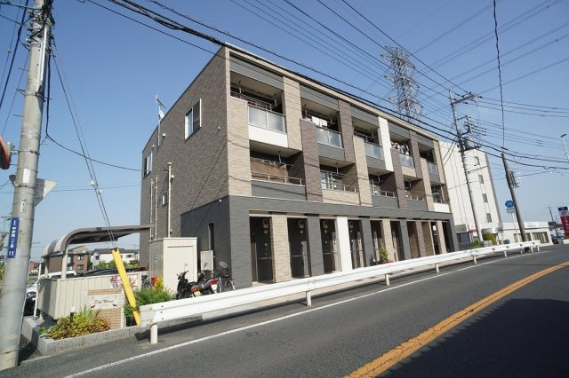ハナミズキの外観