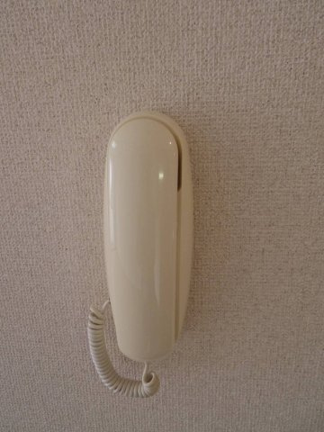 メゾン・ラフィーネのセキュリティ|セキュリティ