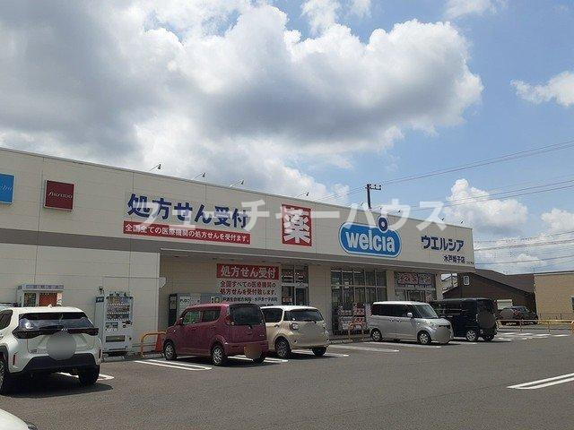 アクティブ田沢Ⅰの周辺|ウエルシア　姫子店まで800m